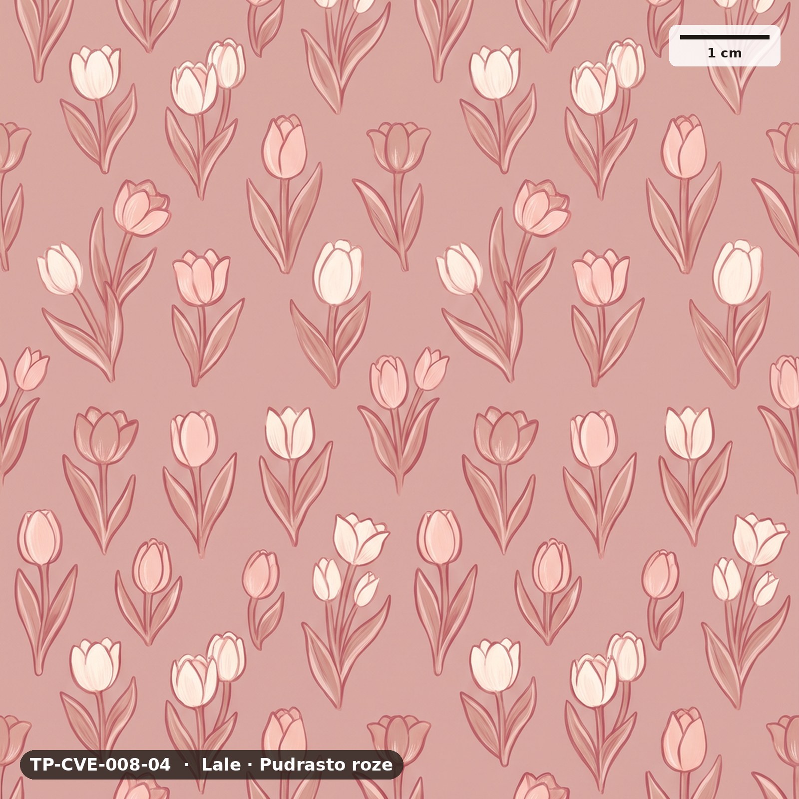 Lale · Pudrasto roze – TP-CVE-008-04