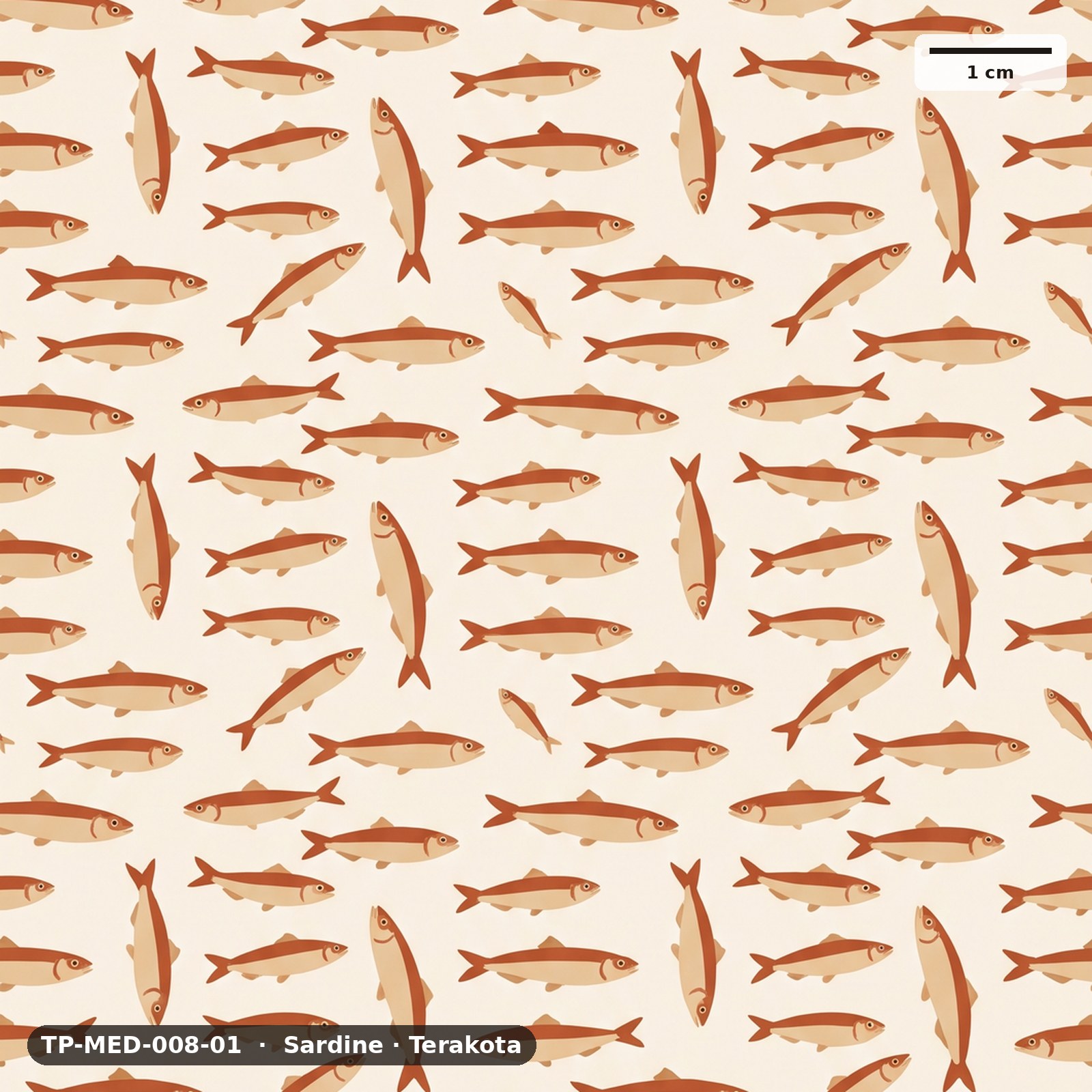 Sardine · Terakota – TP-MED-008-01