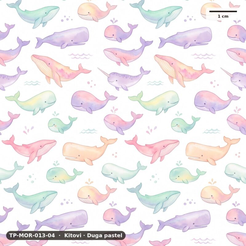 Kitovi · Duga pastel – TP-MOR-013-04