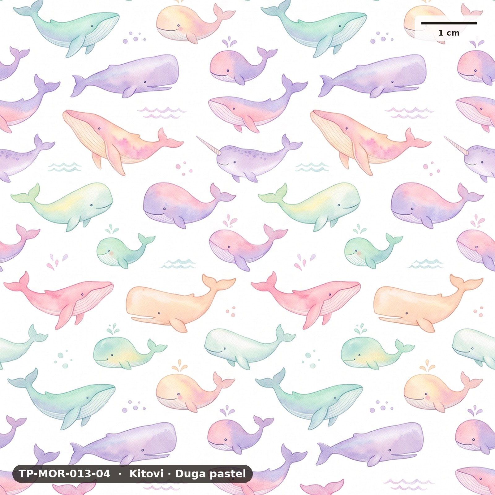 Kitovi · Duga pastel – TP-MOR-013-04
