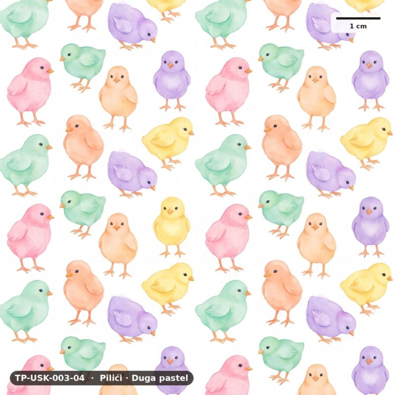 Pilići · Duga pastel – TP-USK-003-04