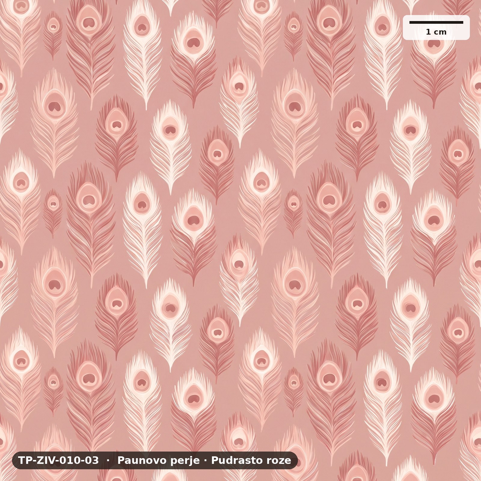Paunovo perje · Pudrasto roze – TP-ZIV-010-03
