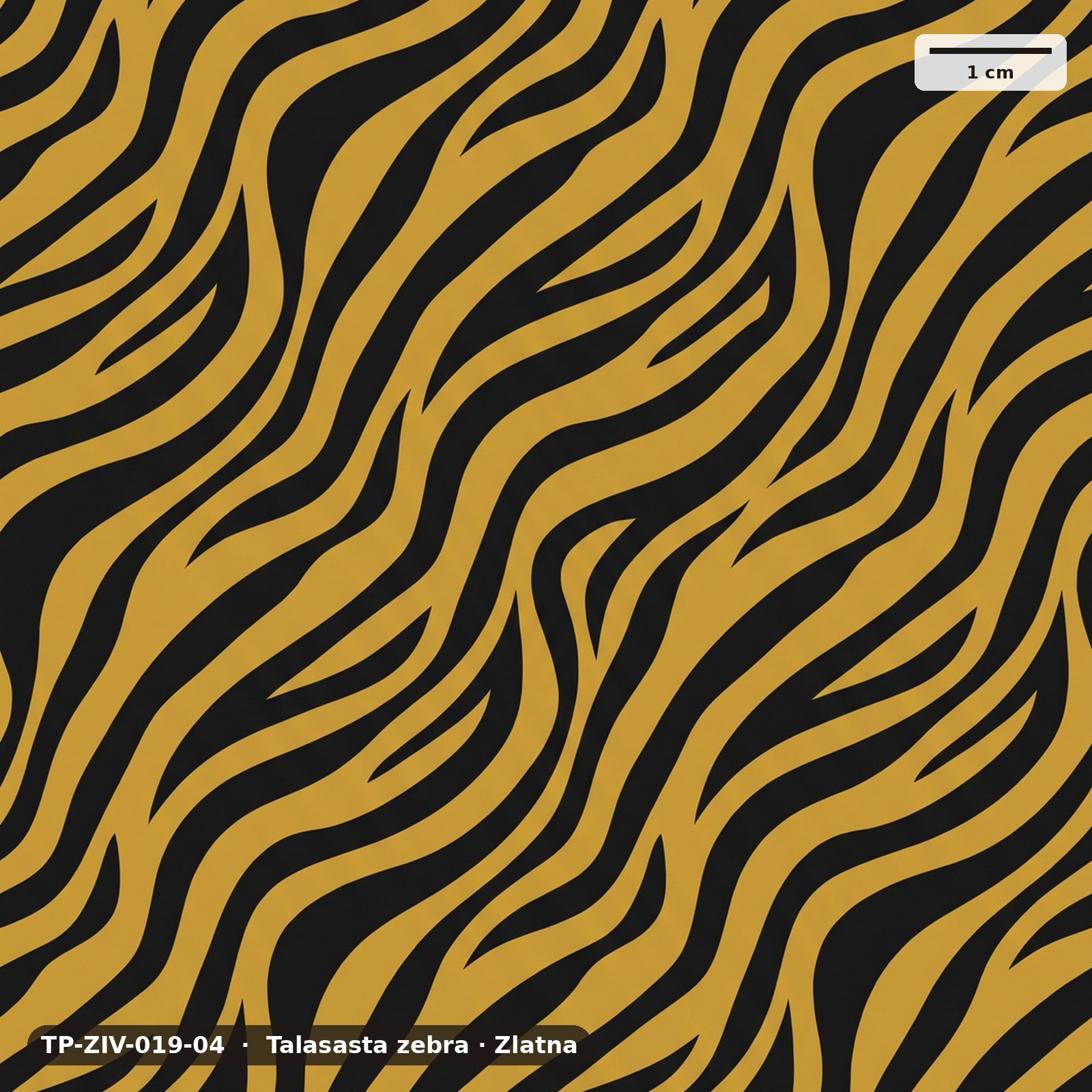 Talasasta zebra · Zlatna – TP-ZIV-019-04